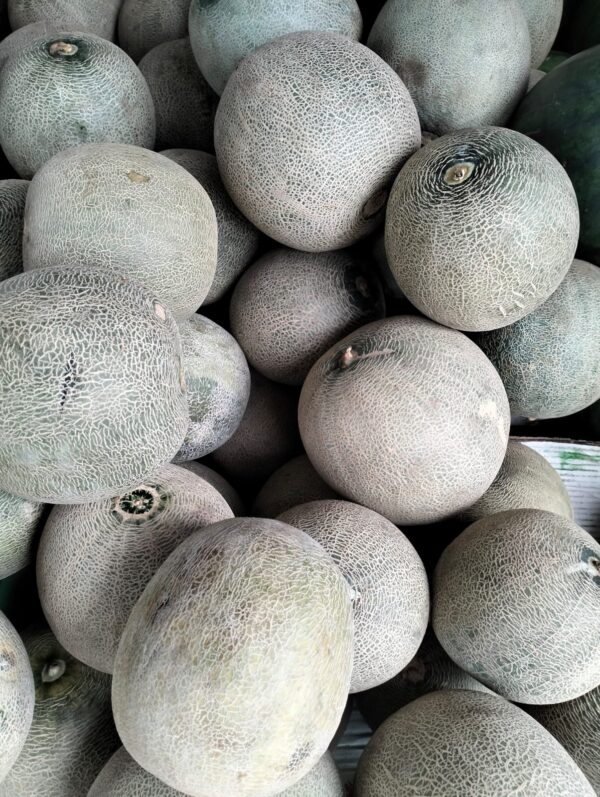 Buah Melon - Gambar 2